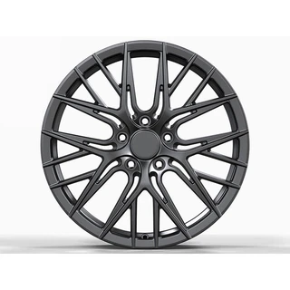 Dark Gray Fine Split-Spoke Forged Wheel