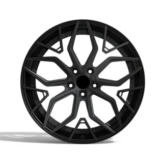 Black Branch-Window Monoblock Wheel